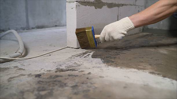 Crawl space vapor barrier installation in Muir, MI